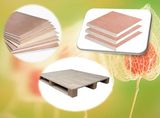 Large Size Melamine Particle Board