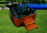 WMK Sanitary Ware Manufacture Co.,Ltd. Outdoor Spa (wspa-001)