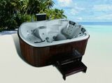 WMK Sanitary Ware Manufacture Co.,Ltd. Outdoor Spa (wspa-003)
