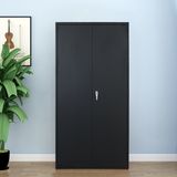 Luoyang Fenglong Office Furniture Wholesale Price Metal File Cabinets Office 2 Door Metal Storage Cabinets with 3 Mobile Shelf Filing