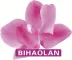 Guangzhou BHL Hotel Articles Co., Ltd. logo