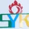Sanyanke Technology Co., Ltd logo
