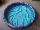 Wide&Tall Industries Co., Ltd. Inflatable Swim Toys - 1