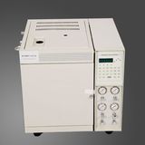 Gas Chromatography (GC 9801)