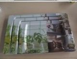 Suqian Huarui Melamine Ware Co., Ltd Melamine Serving Tray (33113)