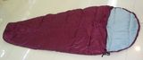 Jiangsu Pare Home Textiles Co., Ltd. Sleeping Bag - 1
