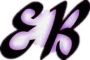 Company icon