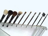 Cosmetic/Makeup Brush (VB-001)