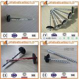 China Nails Factory Top Quality Screw Roofing Nails with Rubber Washer