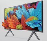 Large Format Display