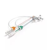 Certificate Femoral Radial Introducer Set