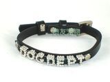 Pet Products (CK0014)