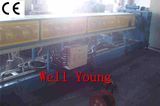 XPS Extruder Machine for Plastic (WY12006)