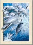 3D Effect Lenticular Painting