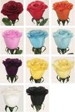Feather Rose