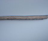 Clear Speaker Cable with Color Line