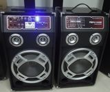 Professional Speaker with USB SD Input (XY-10)