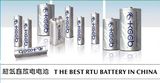Long Term Storage NiMH Battery