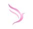 Company icon