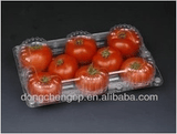 Nontoxic Plastic Disposable Food Blister Packaging Container for Tomato, Strawberry, Cherry Fruit