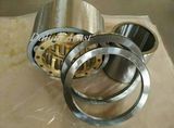 Nnjpr/1300X3/C3 Bearing, Paper Machine Bearing, Bearing Cold Treament