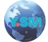 YongShen Mould Company Limited logo