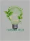 Changzhou Topmax Tech Co., Ltd. logo