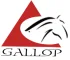 Beijing Gallop High & New Tech Co., Ltd. logo