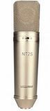 Condenser Microphone (NT2)