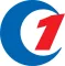 Yangzhou Top Crystal Glass Co., Ltd. logo