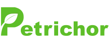 Company icon
