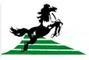 Anping Dual-Horse Animal By-Products Co., Ltd. logo
