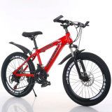 China Manufacturer of City Road Bike Carbon Mountain Bicycle