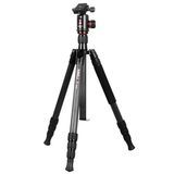 Private Label Manufacturers Professional 4 Sections 1.8m Carbon Fiber Photographic Video Camera Tripod for Hunting
