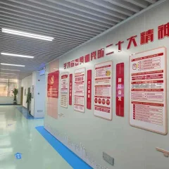 Shenzhen Tecircuit Electronic Co., Ltd. Rigid-Flex PCB