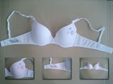 Bra (22763)