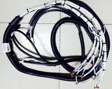 Electrical Wire Harness/Electronic Equipment Male and Female Cable Assemblies