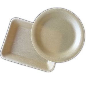 Gold Supplier Disposable PLA Foaming Food Grade Tray