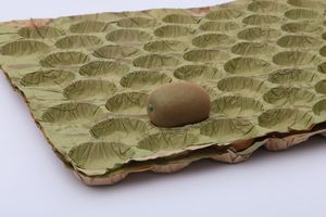 Food Grade Carboard Box for Fruit Apple Kiwi Avocado Packaging Box Liner