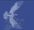 Company icon