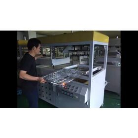 Plastic Seedling Tray / Egg Tray / CakeTray Vacuum Forming Making Machine