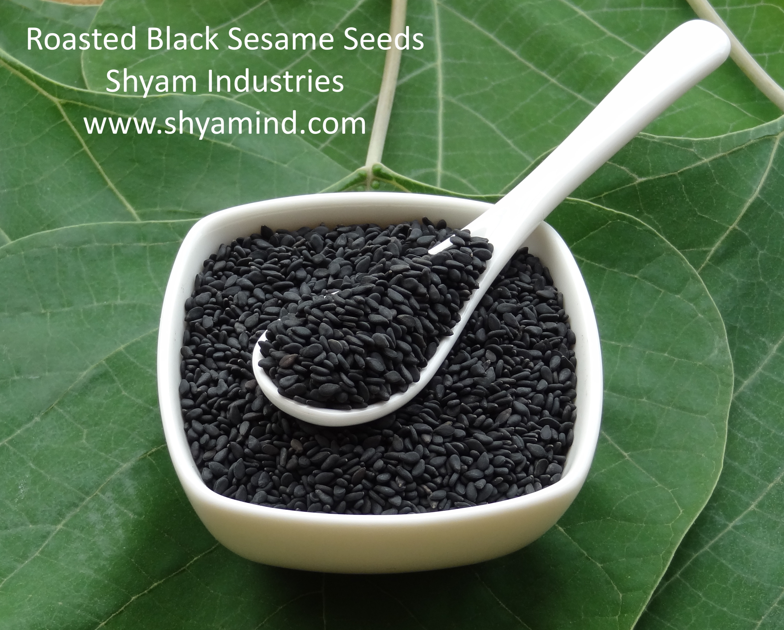 SHYAM INDUSTRIES Hulled Sesame Seeds