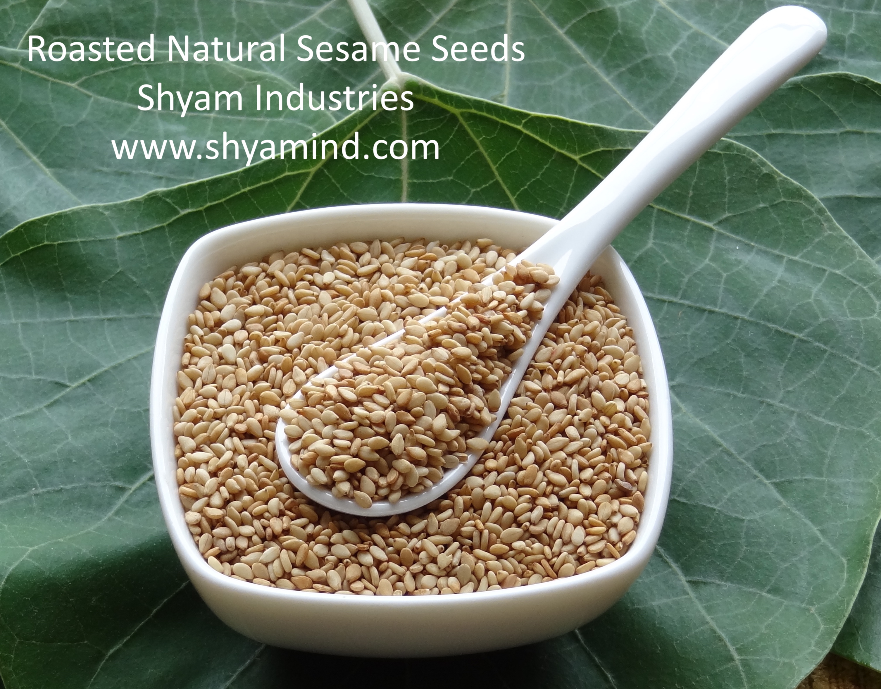 SHYAM INDUSTRIES Natural Sesame Seeds