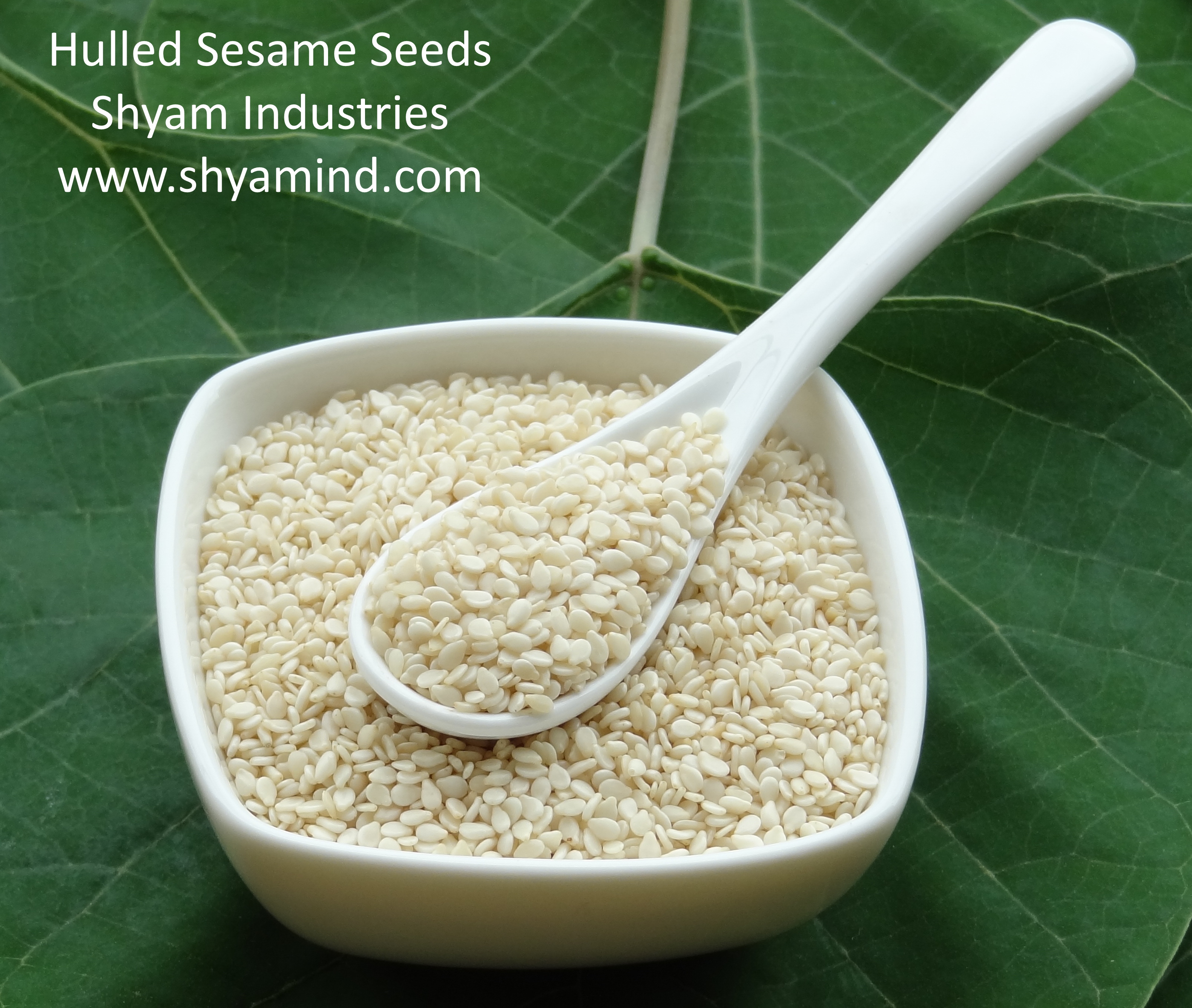 SHYAM INDUSTRIES Black Sesame Seeds