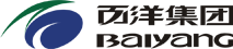 Baiyang Investment Group, Inc. logo