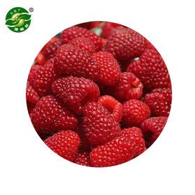 Frozen IQF Fruits Mixed Berries Blueberry Blackberry Strawberry Raspberry for Sale