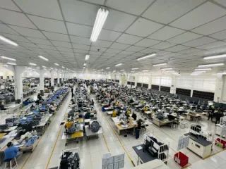 ctav88gp7jrc73c0u9hg.webp