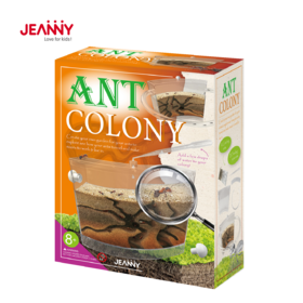 Most Popular New DIY Stem Toys Learning Kits Educational Science Toys For Children Ant Colony Educational Ant Farm Kit Kids