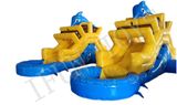 Backyard Inflatable Dolphin Water Slide with Pool for Family Use