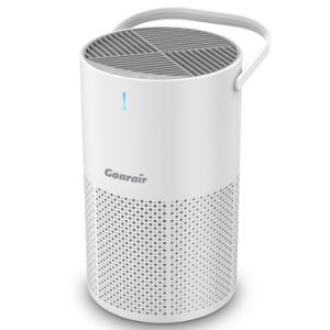 Handle Portable Air Purifier - True HEPA Filter Cleans Air, Helps Alleviate Allergies, Eliminates Smoke & More 100% Ozone Free